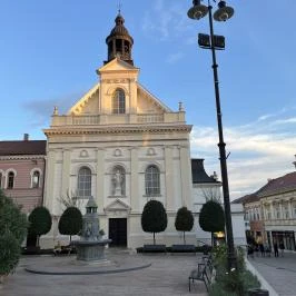 Irgalmasok temploma Pécs - Egyéb