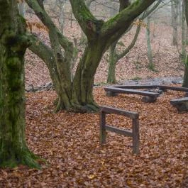 Kallók-völgye Mátraháza - Egyéb