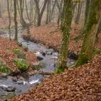 Kallók-völgye Mátraháza - Egyéb