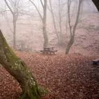 Kallók-völgye Mátraháza - Egyéb