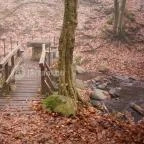 Kallók-völgye Mátraháza - Egyéb