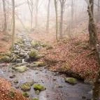 Kallók-völgye Mátraháza - Egyéb