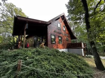 Kőhalmy Vadászati Múzeum Sopron