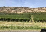 Kopár-dűlő Nagyharsány