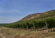 Kopár-dűlő Nagyharsány