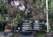 Kövesdi pincesor Tarcal