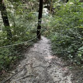 Lővérek, Sopron - Egyéb