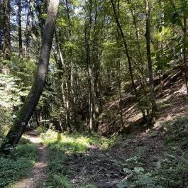 Lővérek, Sopron - Egyéb