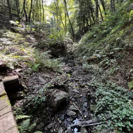 Lővérek, Sopron - Egyéb