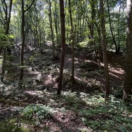 Lővérek, Sopron - Egyéb