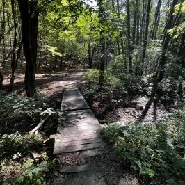 Lővérek, Sopron - Egyéb