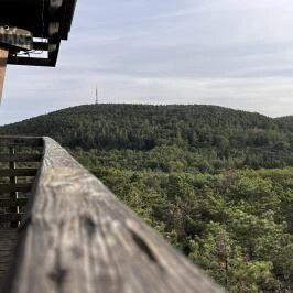 Lővérek, Sopron - Egyéb