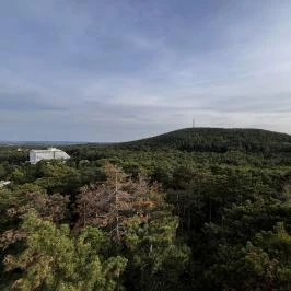 Lővérek, Sopron - Egyéb