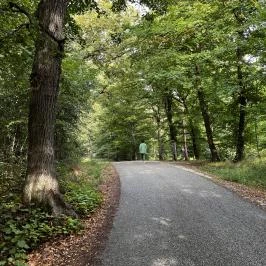 Lővérek, Sopron - Egyéb