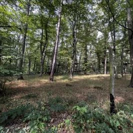 Lővérek, Sopron - Egyéb