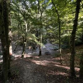 Lővérek, Sopron - Egyéb