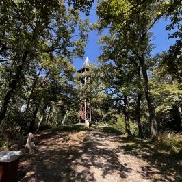 Lővérek, Sopron - Egyéb