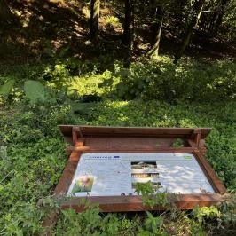 Lővérek, Sopron - Egyéb