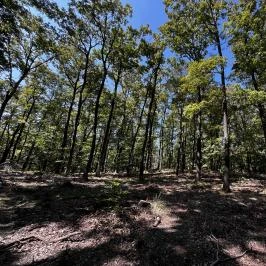 Lővérek, Sopron - Egyéb