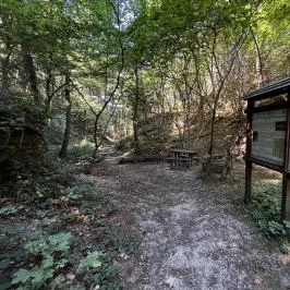 Lővérek, Sopron - Egyéb