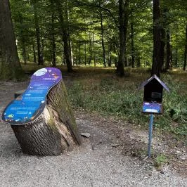 Lővérek, Sopron - Egyéb