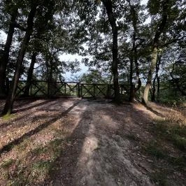 Lővérek, Sopron - Egyéb