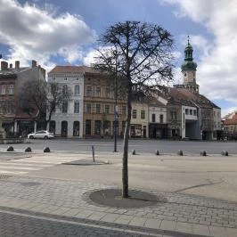 Mária-szobor Sopron - Egyéb