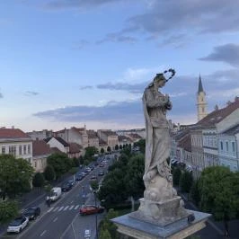 Mária-szobor Sopron - Egyéb
