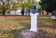 Mikoviny Sámuel Tata