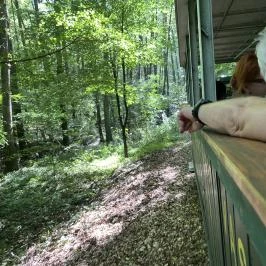 Nagybörzsönyi Kisvasút Nagybörzsöny - Külső kép
