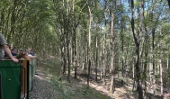 Nagybörzsönyi Kisvasút, Nagybörzsöny