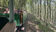 Nagybörzsönyi Kisvasút, Nagybörzsöny