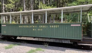 Nagybörzsönyi Kisvasút, Nagybörzsöny