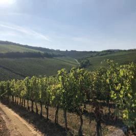 Ördögárok, Villány - Egyéb