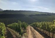 Ördögárok Villány