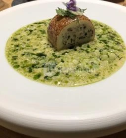 Platán Gourmet Étterem