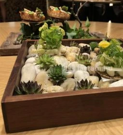 Platán Gourmet Étterem