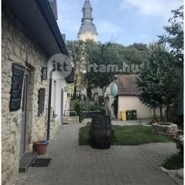 Préselő Pincészet és Vendégház, Erdőbénye - Medence/kert