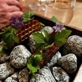 Salt, Budapest - Étel/ital