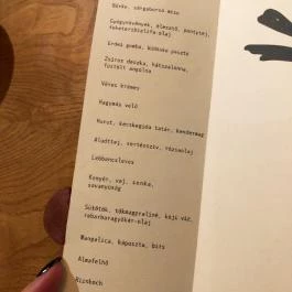 Salt, Budapest - Étlap/itallap