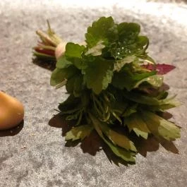 Salt, Budapest - Étel/ital