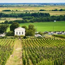 Sárga Borház Vendéglő, Mezőzombor - Külső kép