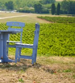 Sárga Borház Vendéglő