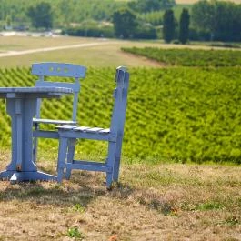 Sárga Borház Vendéglő Mezőzombor - Külső kép