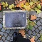 Sárkányos ivókút Tata - Egyéb