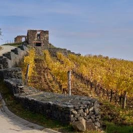 Somló-hegy, Doba - Egyéb