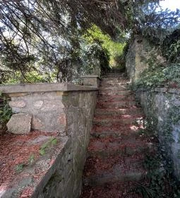 Soproni Szent Borbála templom