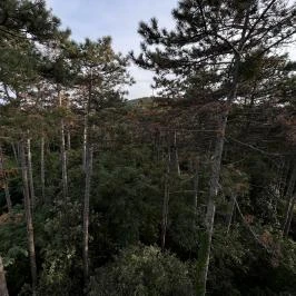 Sörházdombi Kilátó Sopron - Egyéb