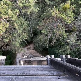 Sörházdombi Kilátó Sopron - Egyéb