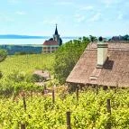 Szent György-hegy Hegymagas - Egyéb